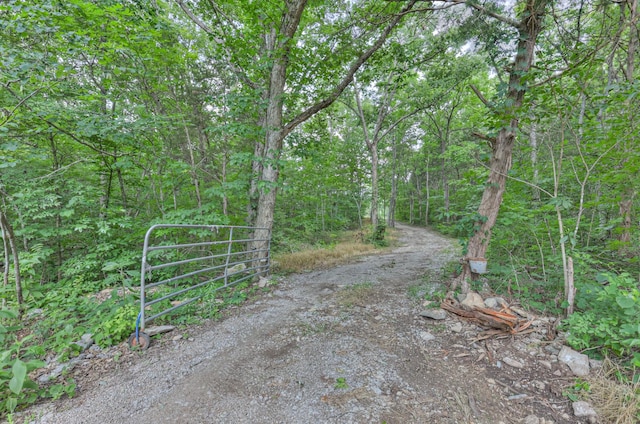 417 Haskins Chapel Rd, Lewisburg, TN 37091 - view of dirt / gravel road with a forest view and a gate