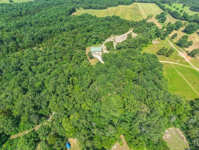 417 Haskins Chapel Rd, Lewisburg, TN 37091 - view of property location with a forest