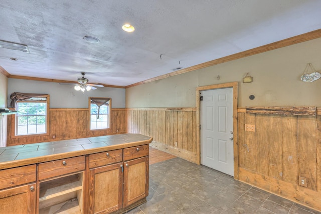 417 Haskins Chapel Rd, Lewisburg, TN 37091 - kitchen featuring tile countertops, a wainscoted wall, ceiling fan, crown molding, and plenty of natural light