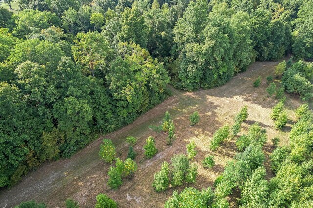 2 Old County House Rd, White Bluff, TN 37187 - photo 5