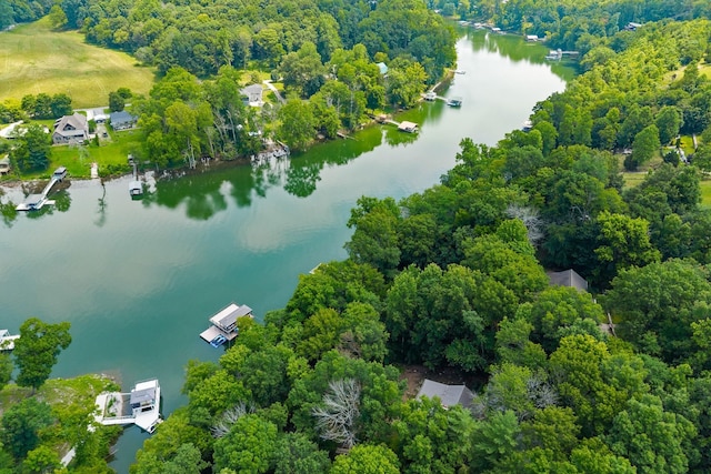 2541 Sparkmantown Rd, Doyle, TN 38559 - drone / aerial view of a nearby body of water