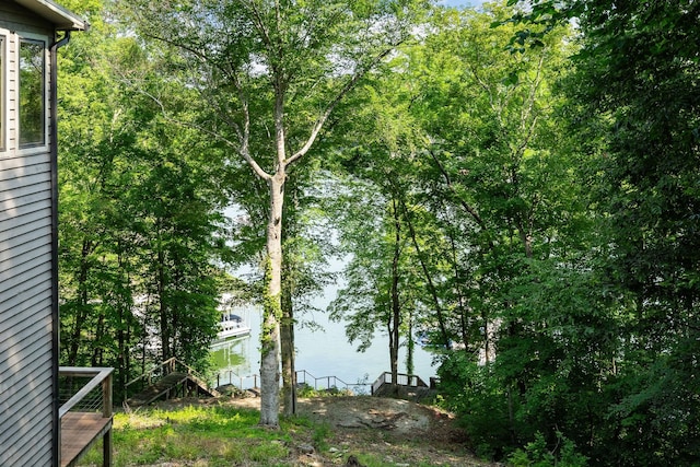 2541 Sparkmantown Rd, Doyle, TN 38559 - view of yard