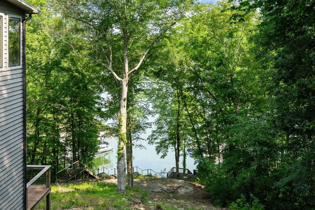 2541 Sparkmantown Rd, Rock Island, TN 38581 - view of yard