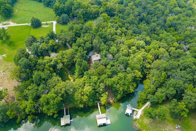 2541 Sparkmantown Rd, Doyle, TN 38559 - aerial view of a large body of water