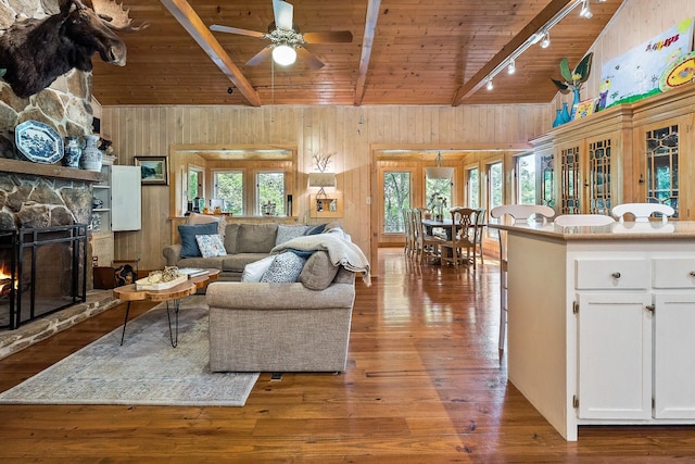 2541 Sparkmantown Rd, Doyle, TN 38559 - living area with a wooden ceiling with exposed beams, wooden walls, ceiling fan, rail lighting, and a fireplace