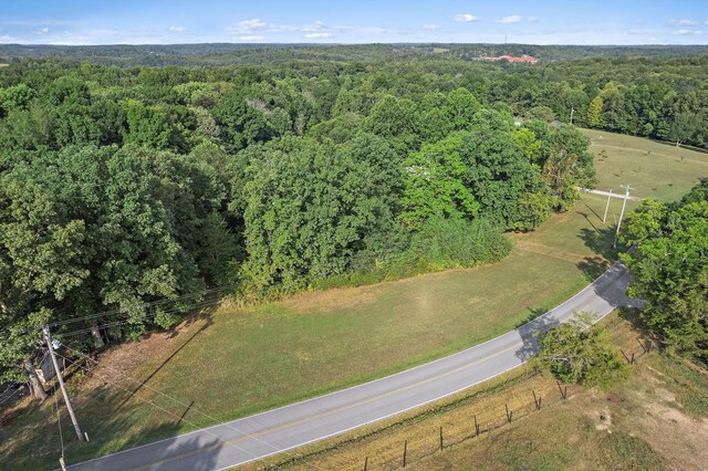 1 Old County House Rd, White Bluff, TN 37187 - photo 4