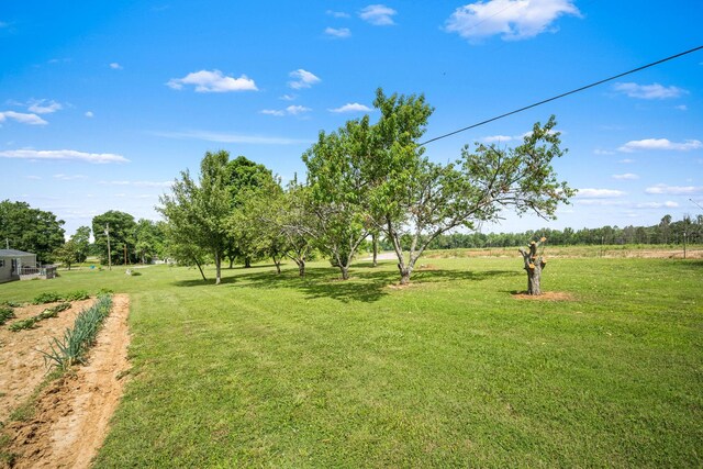 1510 Hawkersmith Rd, Manchester, TN 37355 - photo 30