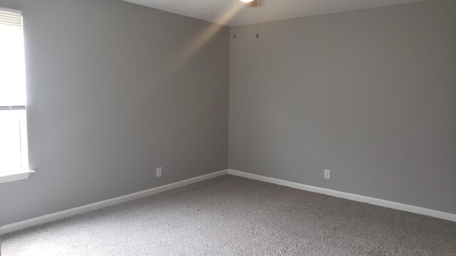 570 Barney Ln, Clarksville, TN 37042 - photo 22