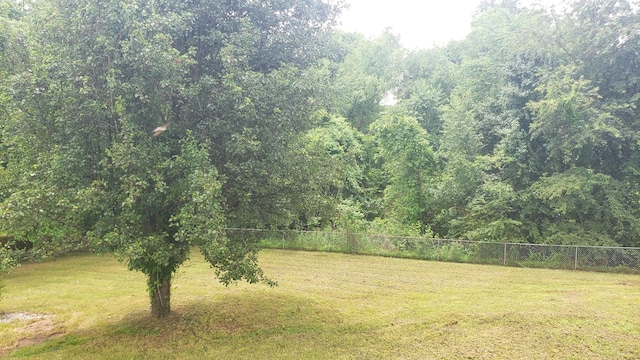 570 Barney Ln, Clarksville, TN 37042 - photo 3