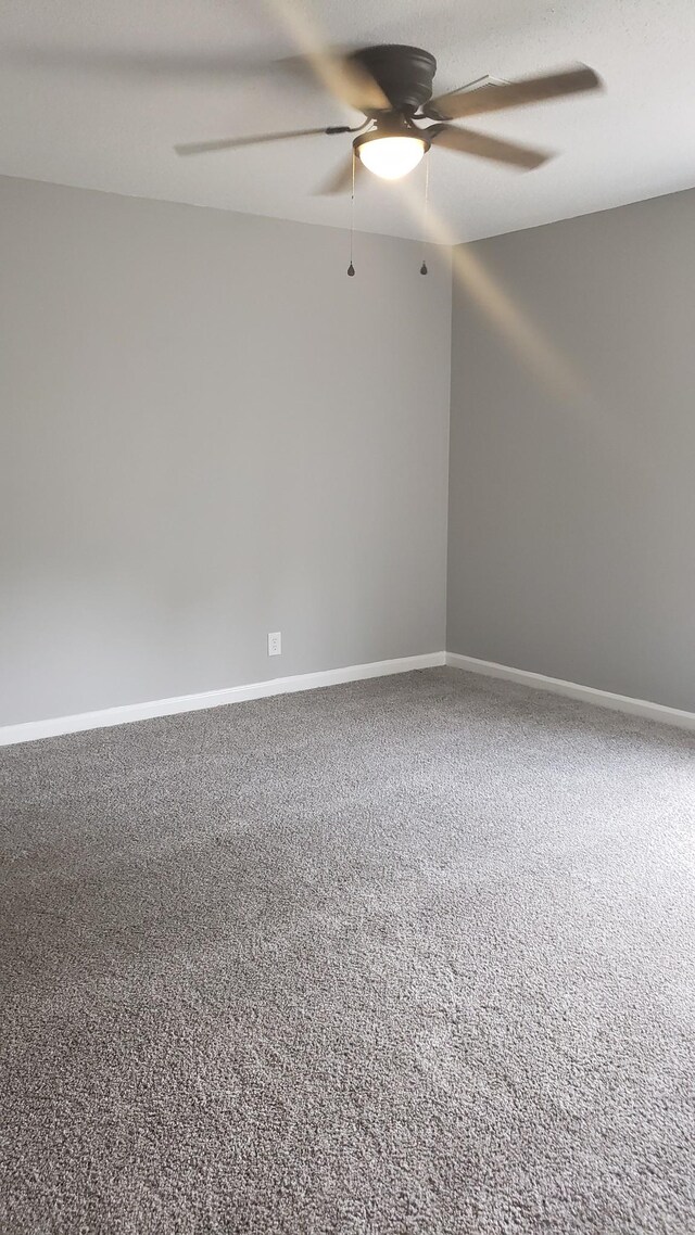 570 Barney Ln, Clarksville, TN 37042 - photo 21