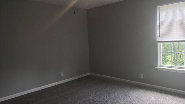 570 Barney Ln, Clarksville, TN 37042 - photo 23