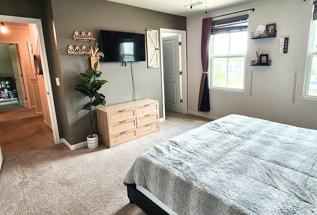 2244 Brokeshire Dr, White House, TN 37188 - photo 19