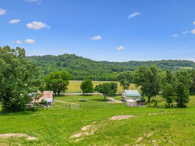 2665 Center Point Rd, Pulaski, TN 38478 - view of yard featuring a wooded view and an outdoor structure