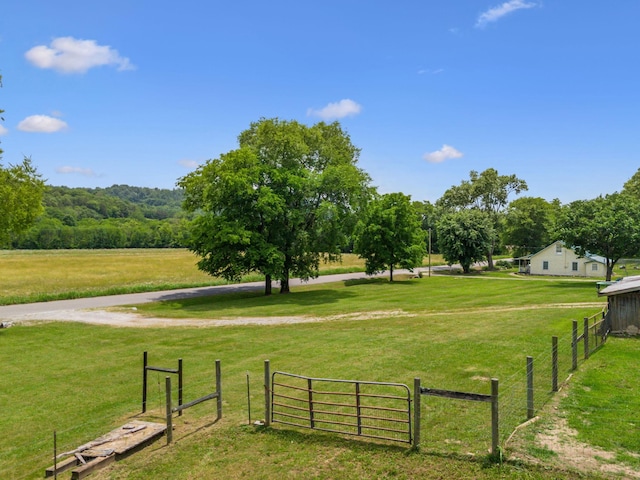 2665 Center Point Rd, Pulaski, TN 38478 - view of yard