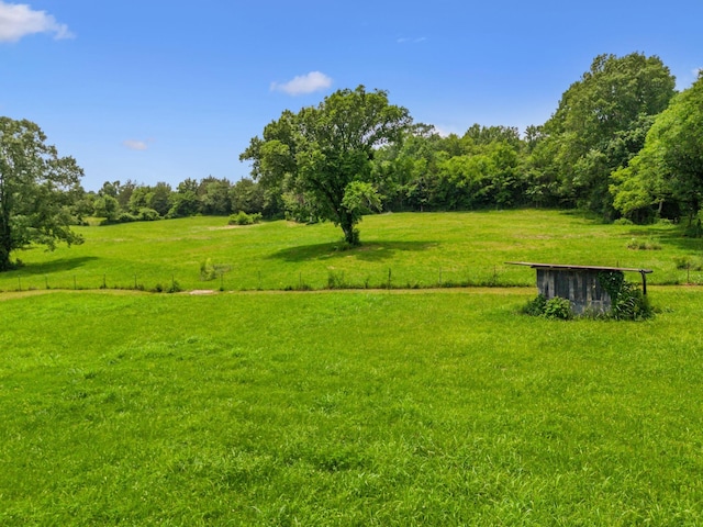2665 Center Point Rd, Pulaski, TN 38478 - view of yard