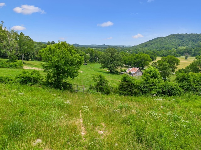 2665 Center Point Rd, Pulaski, TN 38478 - mountain view with rural landscape