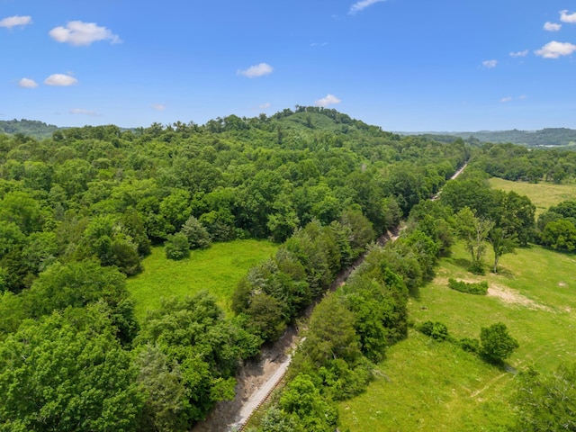 2665 Center Point Rd, Pulaski, TN 38478 - drone / aerial view of a heavily wooded area