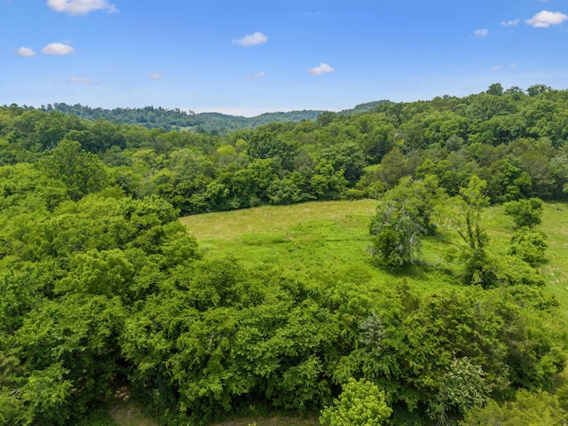 2665 Center Point Rd, Pulaski, TN 38478 - view of mountain backdrop featuring a forest