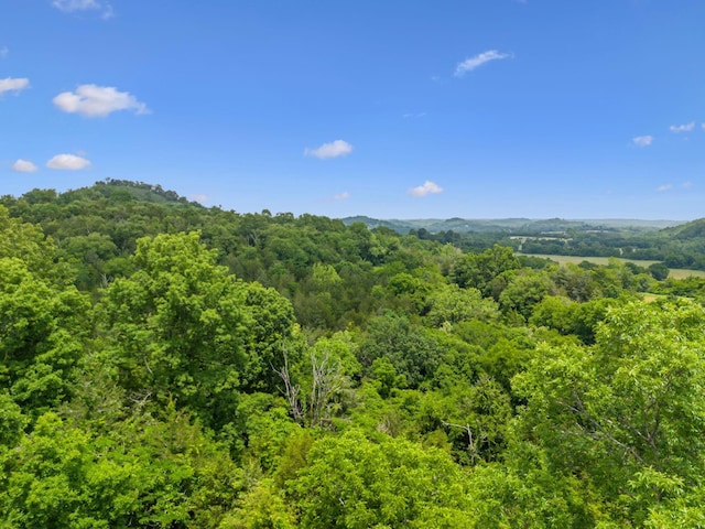 2665 Center Point Rd, Pulaski, TN 38478 - view of mountain background with a forest