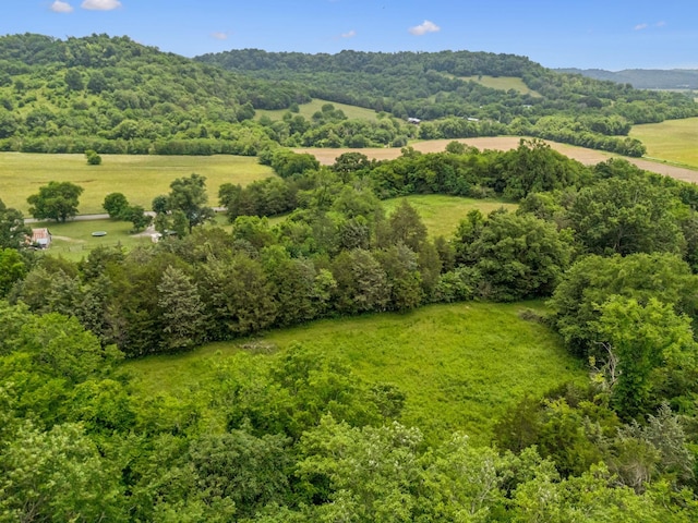 2665 Center Point Rd, Pulaski, TN 38478 - aerial view of a forest