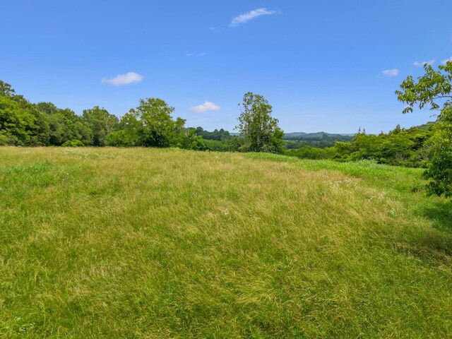 2665 Center Point Rd, Pulaski, TN 38478 - view of undeveloped land featuring rural landscape