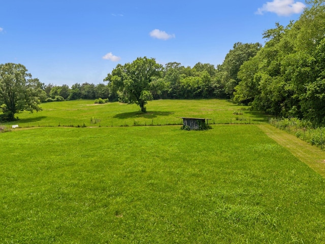 2665 Center Point Rd, Pulaski, TN 38478 - view of yard