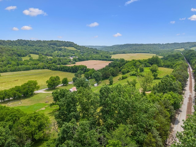2665 Center Point Rd, Pulaski, TN 38478 - view of rural area