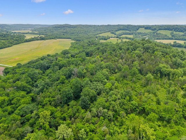 2665 Center Point Rd, Pulaski, TN 38478 - bird's eye view of a forest