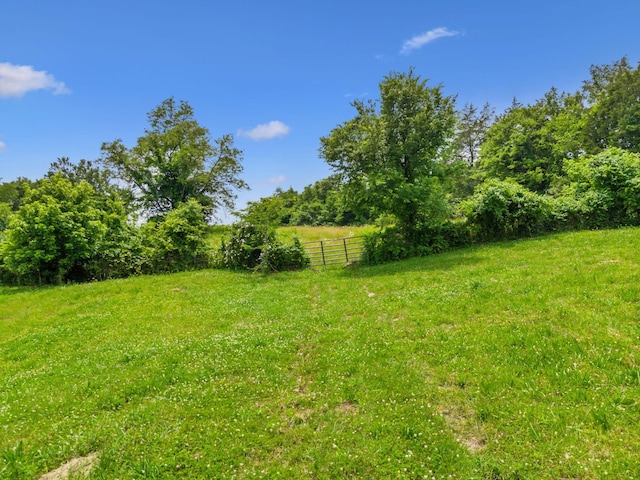 2665 Center Point Rd, Pulaski, TN 38478 - view of yard