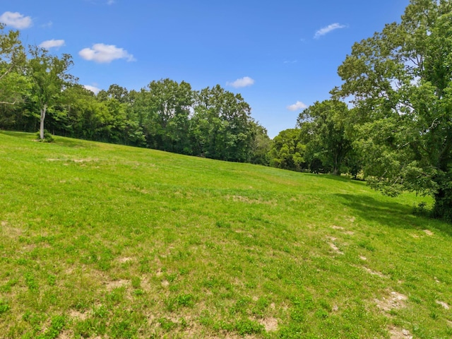 2665 Center Point Rd, Pulaski, TN 38478 - view of grassy yard featuring a wooded view