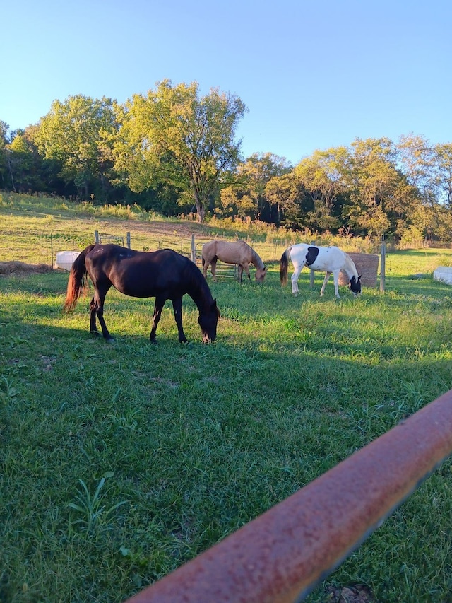 2665 Center Point Rd, Pulaski, TN 38478 - view of property's community with a view of rural / pastoral area