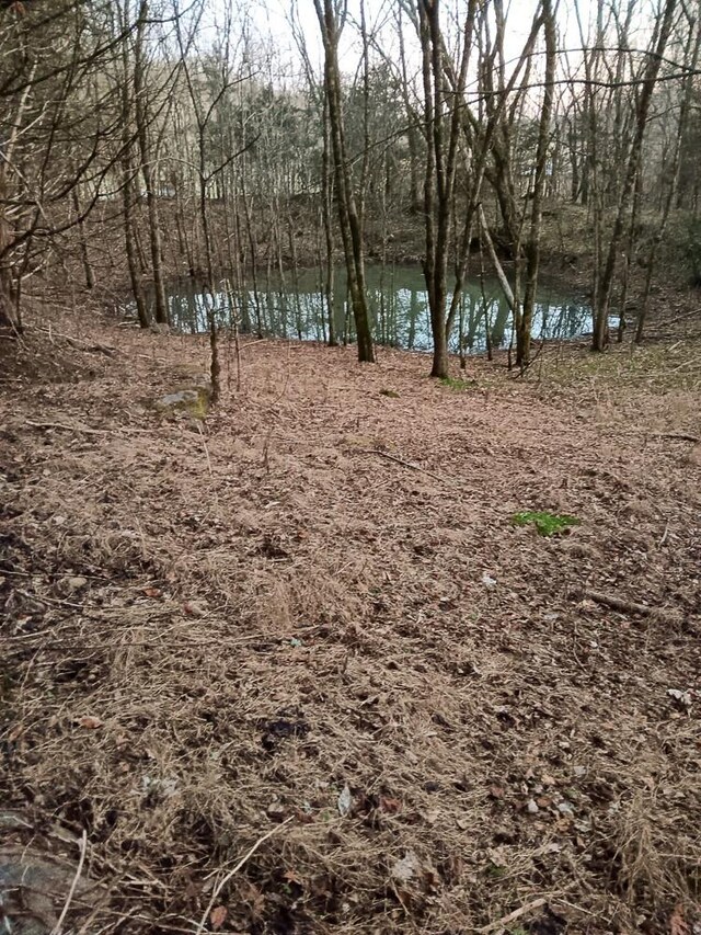 2665 Center Point Rd, Pulaski, TN 38478 - photo 11