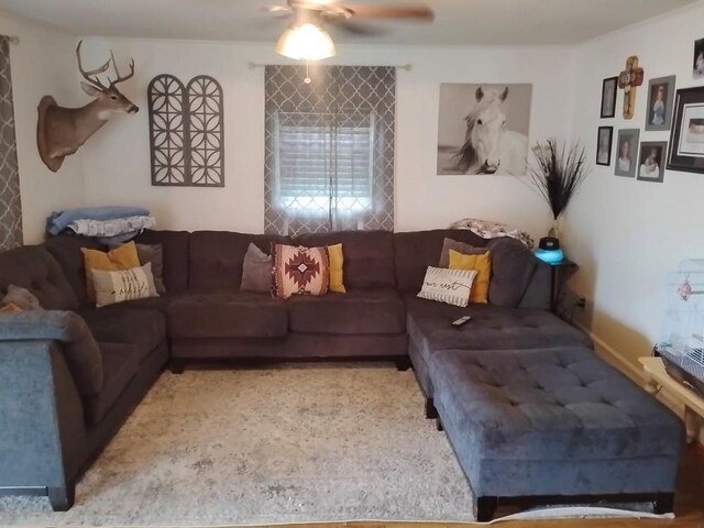 2665 Center Point Rd, Pulaski, TN 38478 - photo 17
