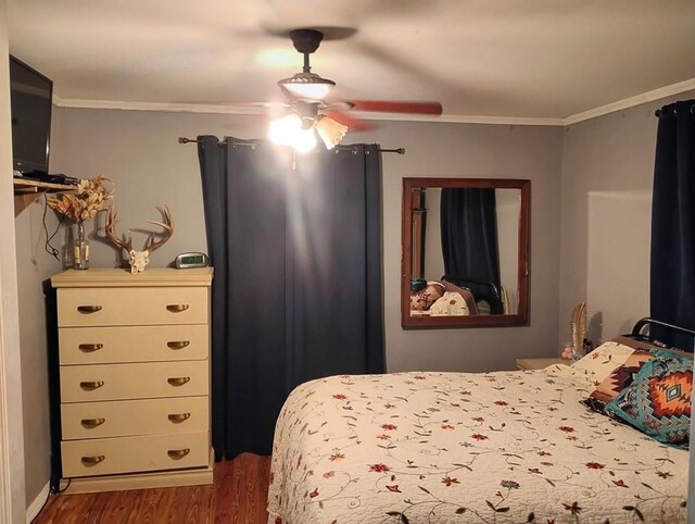 2665 Center Point Rd, Pulaski, TN 38478 - photo 25