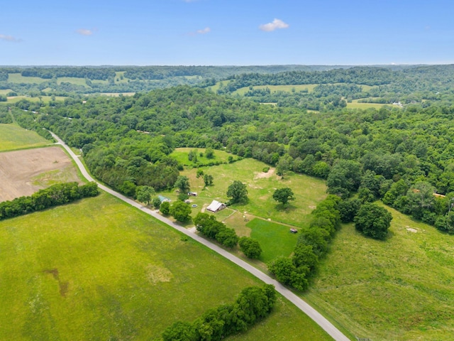 2665 Center Point Rd, Pulaski, TN 38478 - photo 45