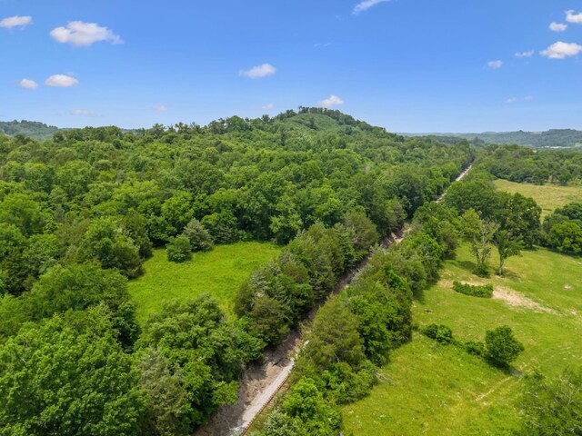 2665 Center Point Rd, Pulaski, TN 38478 - photo 61
