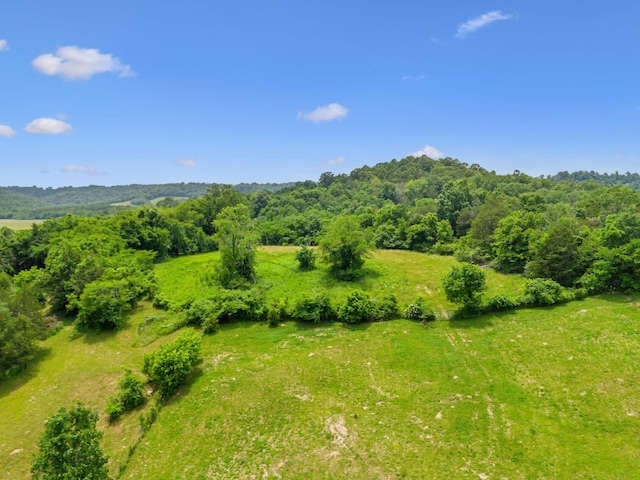 2665 Center Point Rd, Pulaski, TN 38478 - photo 43