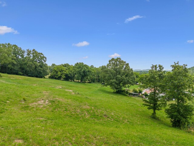 2665 Center Point Rd, Pulaski, TN 38478 - photo 42