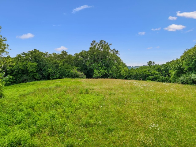 2665 Center Point Rd, Pulaski, TN 38478 - photo 31