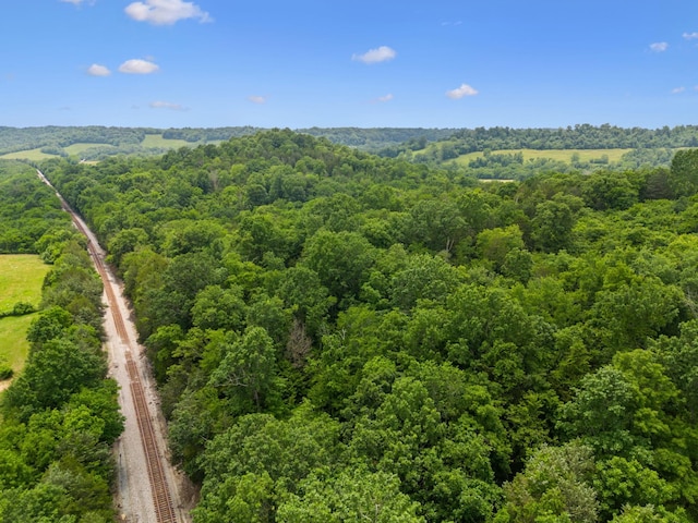 2665 Center Point Rd, Pulaski, TN 38478 - photo 67