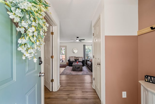 2930 Charlie Sleigh Rd, Woodlawn, TN 37191 - entryway featuring wood finished floors and ceiling fan