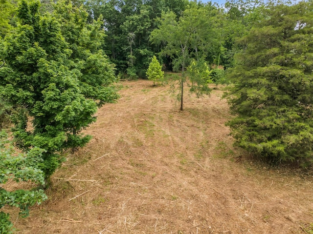 0 Center Star Rd, Columbia, TN 38401