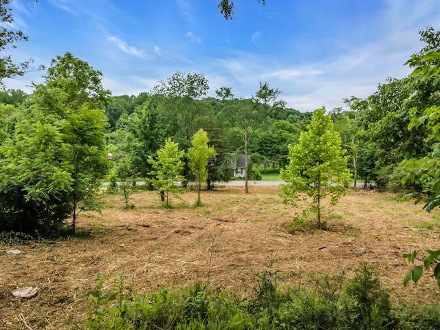 0 Center Star Rd, Columbia, TN 38401