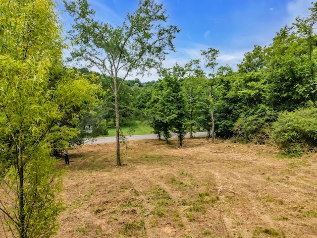 0 Center Star Rd, Columbia, TN 38401