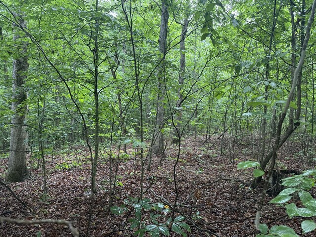929 Mason Bates Bend Rd, Centerville, TN 37033