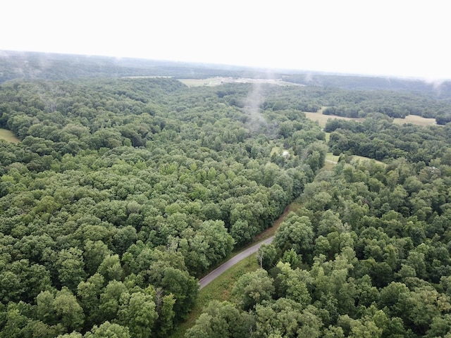 929 Mason Bates Bend Rd, Centerville, TN 37033