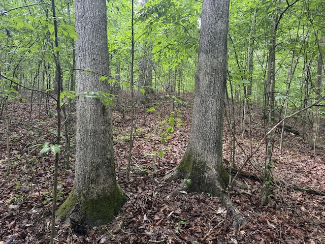 929 Mason Bates Bend Rd, Centerville, TN 37033