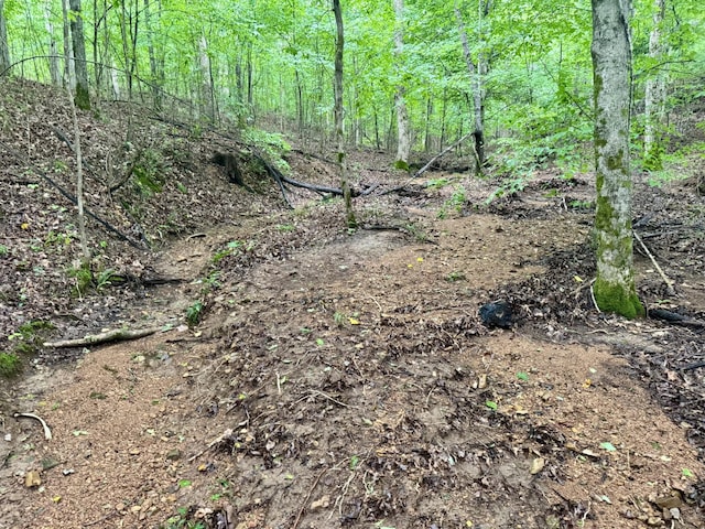 929 Mason Bates Bend Rd, Centerville, TN 37033