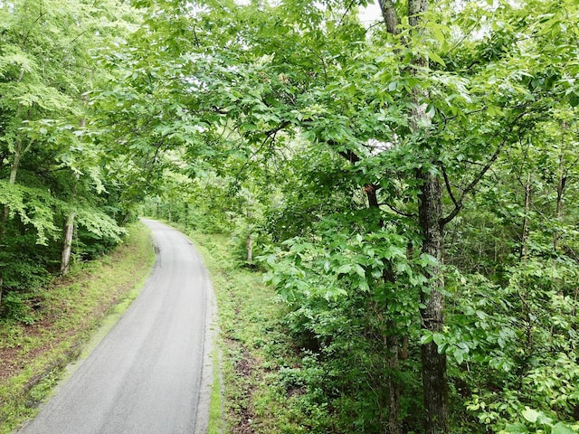 929 Mason Bates Bend Rd, Centerville, TN 37033