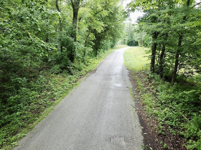 929 Mason Bates Bend Rd, Centerville, TN 37033